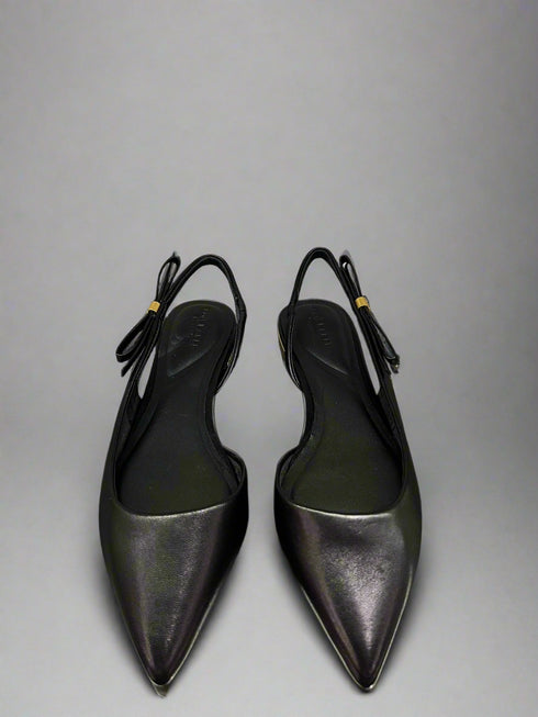 {{ product.type }} - Ted Baker London - Kosovo - JAYNEBO